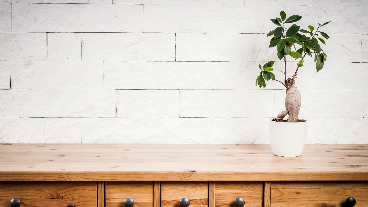Wooden Furniture for a Minimalist Home