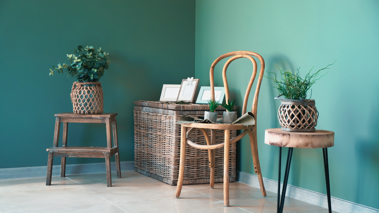 Houseplants for Air Purification