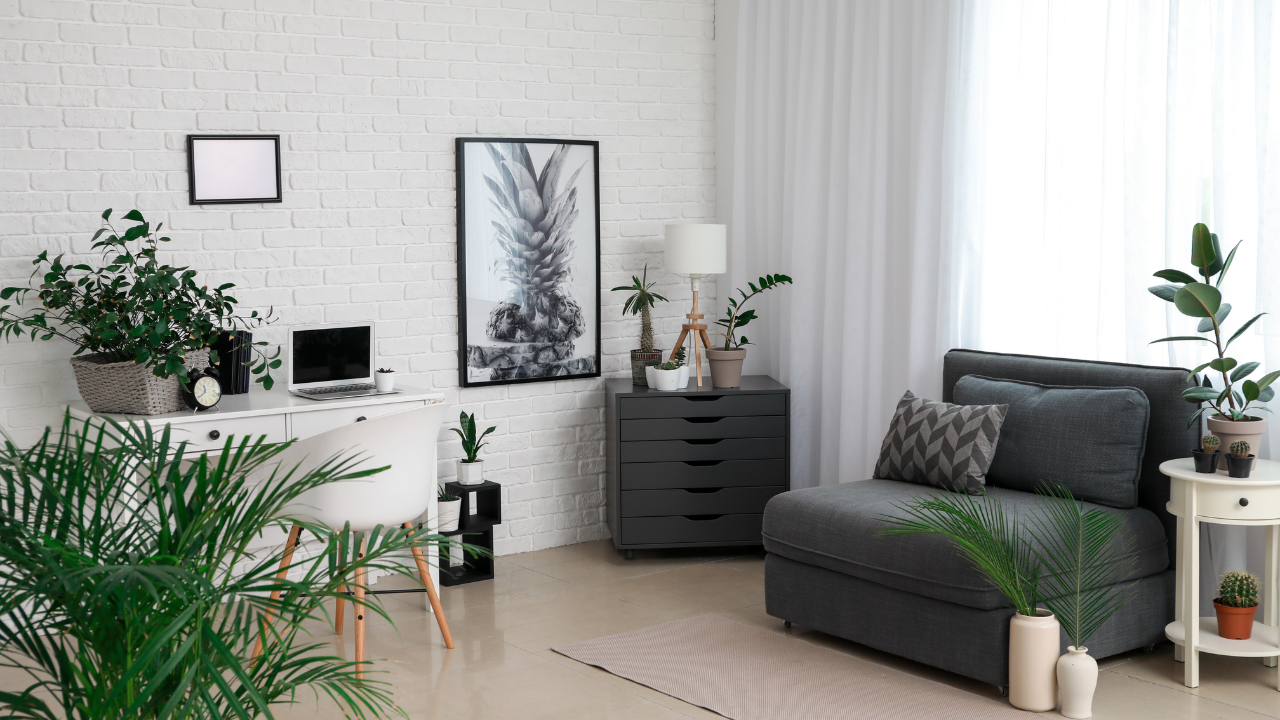 Houseplants for Air Purification
