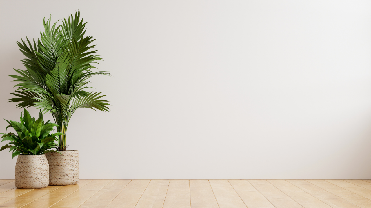 Minimalist Interior Design – Purposeful Spaces Today